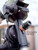 PoleMaster with Cyclops Optics PM-SF Adapter (Fornax LighTrack II)