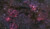SH2-154 & 155 by Jerry HuangNikon D800 Mod88 x 180s