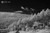 STC Clip Filter IR-Pass 850nm (Sony APS-C)