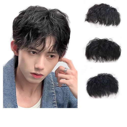 RemeeHi Short Fluffy Wavy Curly 100% Real Human Hair Clip in Toupee Pieces Wig For Men