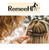RemeeHi Seamless Flat Keratin Tip 100% Remy Human Hair Extensions Fusion Hair SLIVER Grey 100g