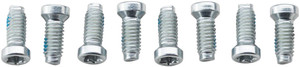 SRAM Crank Bolt Kit - Removable Spider Mounting, Torx T20, Qty 8 SRAM Crank Bolt Kit - Removable Spider Mounting, Torx T20, Qty 8