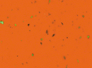 Cinelli Cork Ribbon Handlebar Tape - Orange