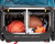 Burley D'Lite X Child Trailer- Double, Aqua