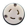 Plug 20A 250v FEMALE