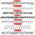 Font for Engraving Font for Engraving