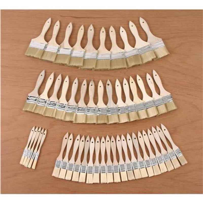 BRUSH BRISTLE BRUSH SET 50PCS