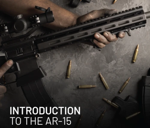 INTRODUCTION TO AR-15 RIFLES 101
