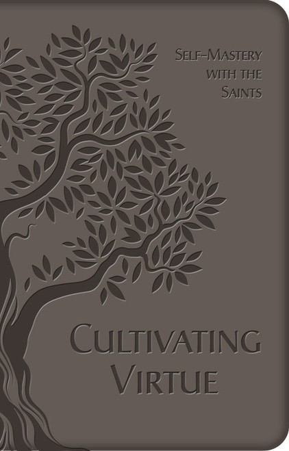 Cultivating Virtue (eBook)