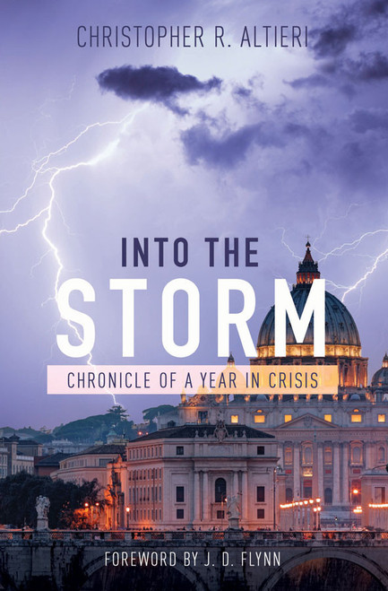 Into the Storm (eBook)