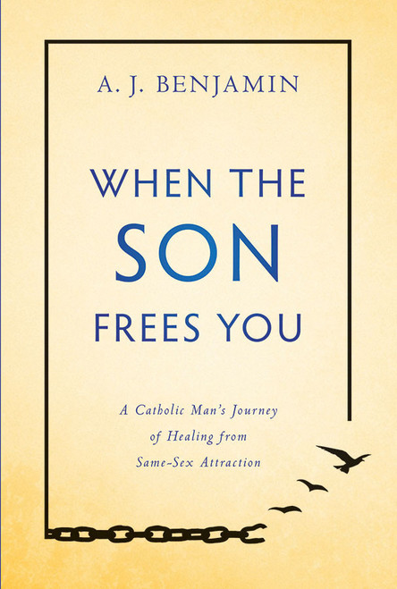 When the Son Frees You: A Catholic Man's Journey of Healing From Same-Sex Attraction