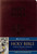Douay-Rheims Bible (Deluxe Leatherette)