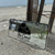 The Coast License Plate | Chrome