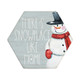 Snowplace Like Home - Honeycomb Coasters