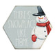 Snowplace Like Home - Honeycomb Coasters