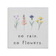No Rain - Small Talk Square