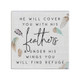 With His Feathers - Small Talk Square
