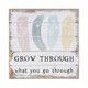 Grow Through - Perfect Pallet Petite