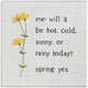 Spring Weather - Small Talk Square
