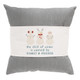 Chill Of Winter - Pillow Hugs