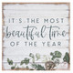 Beautiful Time - Perfect Pallets