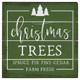 Christmas Trees - Perfect Pallet Petites