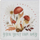 Grow Own Way - Small Talk Square