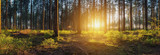 Green Manufacturing: Industry 4.0 and the Sustainable Future