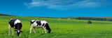 Farming the Benefits of Agricultural IoT
