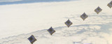 Achieving Comprehensive IoT Coverage with Nanosatellites