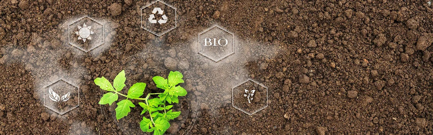 Soil & Water Plus IoT Equals Greener Gardening Soil & Water Plus IoT Equals Greener Gardening
