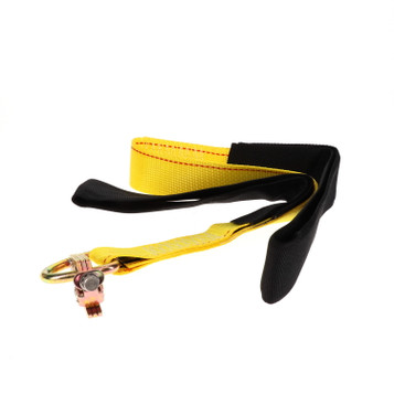 Dual Loop Driver Assist Strap