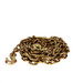 Grade 70, 5/16" x 16' Chain Assembly with Clevis Hooks, Bulk