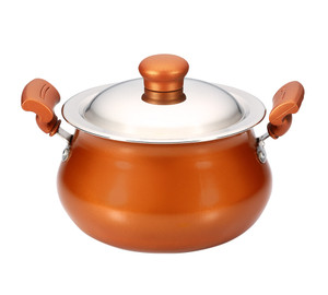 Butterfly Non-Stick  Indian Gold Handi - 2.5L Capacity 