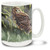 Beautiful Owl against a scenic background.