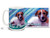 If you love your Jack Russell Terrier, you'll love this Artsy Jack Russell Terrier coffee mug! Colorful 15oz Jack Russell Terrier mug is dishwasher and microwave safe.