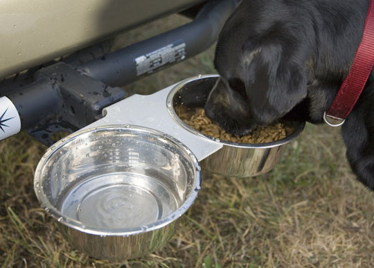Kennel Gear Two Quart Stainless Steel Pail System