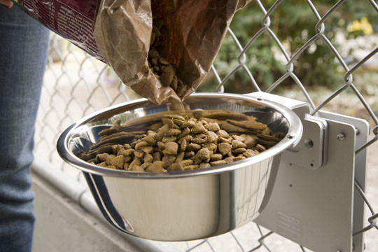 Kennel Gear Two Quart Stainless Steel Pail System
