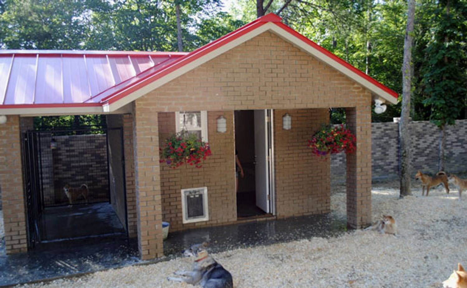 Heavy Duty Dog Door Installed on a Grand Dog House