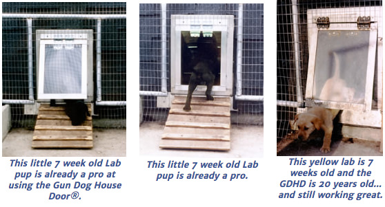 how big should a dog door be for a lab