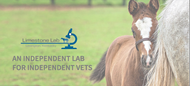 Doc Lane's Veterinary Pharmacy Welcomes Limestone Lab