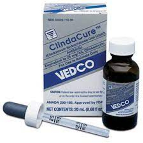 Clindacure (Clindamycin) 25mg/ml