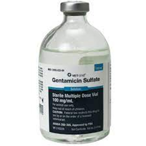 Gentamicin Injection, 100 ml