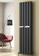 Reina Belva Aluminium Radiator - 1800 X 308 Single Anthracite  Junction 2 Interiors Bathrooms