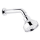  Swadling Absolute Titan Multi Function Shower Head Curved Arm 