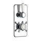  Swadling Invincible Single Controlled Thermostatic Shower Mixer 