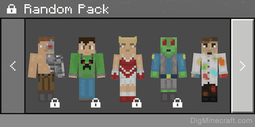 Random Set of Minecraft Skins