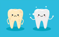Insight: Controlled, gentle biting can help clean difficult areas