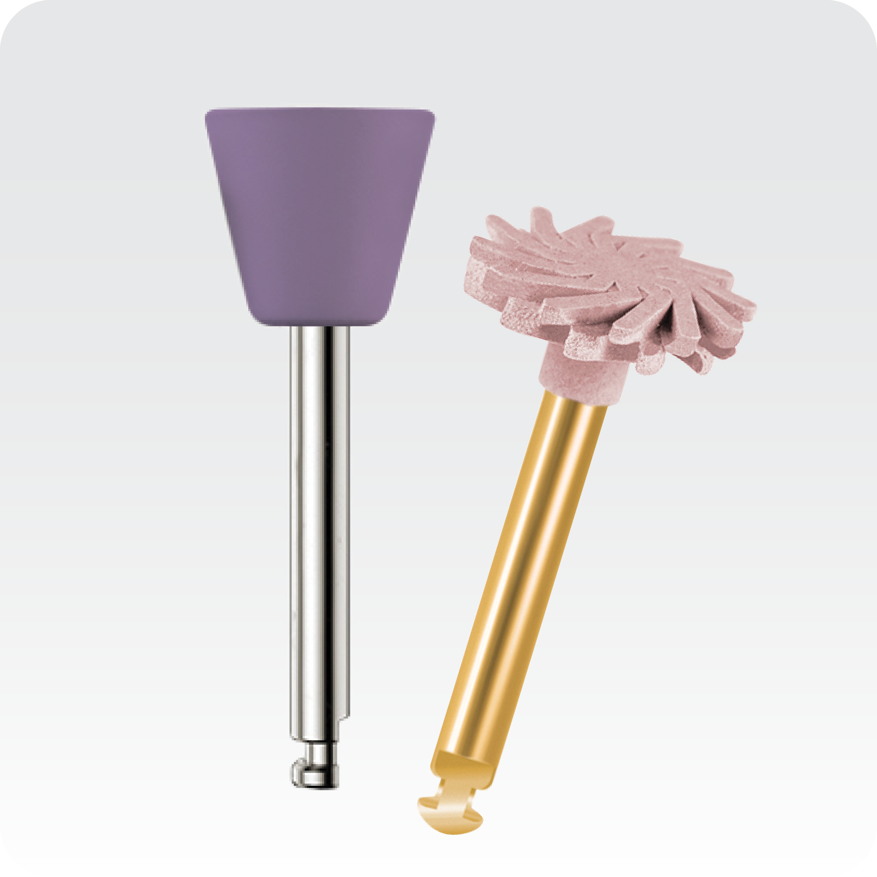 Dental polishers category