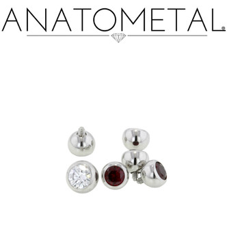 Anatometal SS Gem Ball